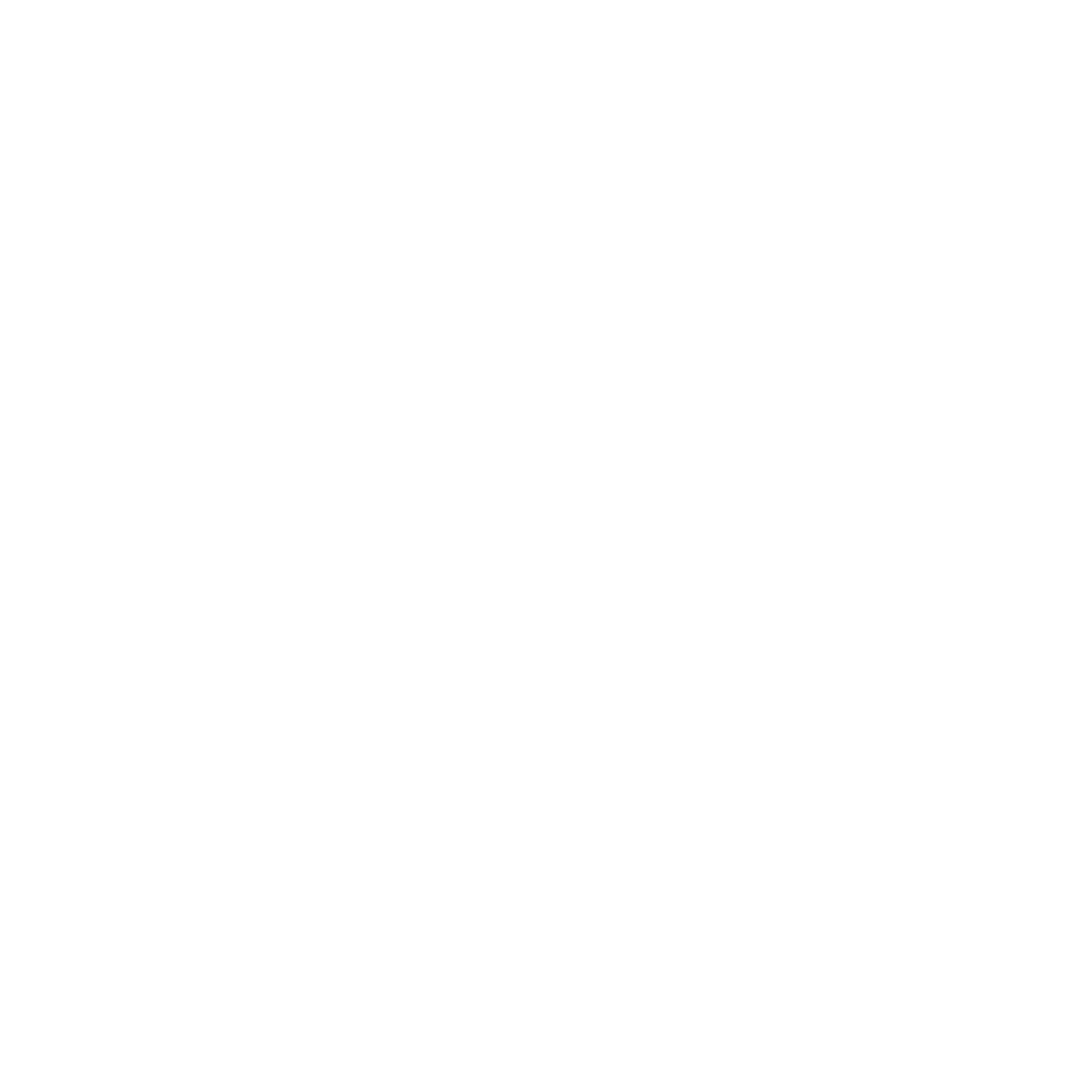 Insighta Software